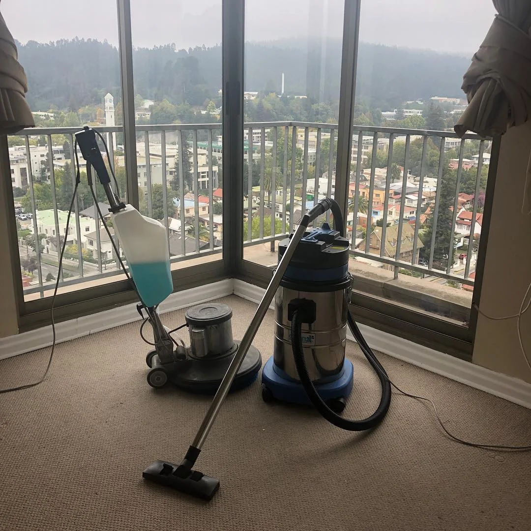 Resultado de limpieza de alfombra