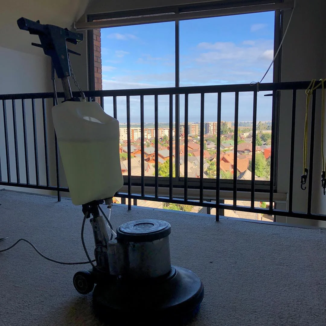 Resultado de limpieza de alfombra