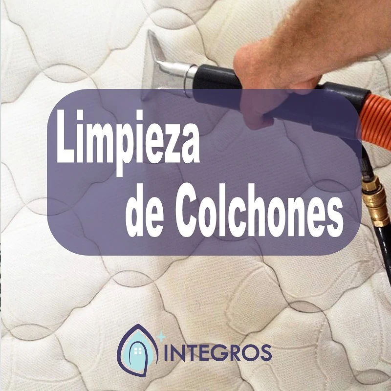 Publicación de Instagram 4